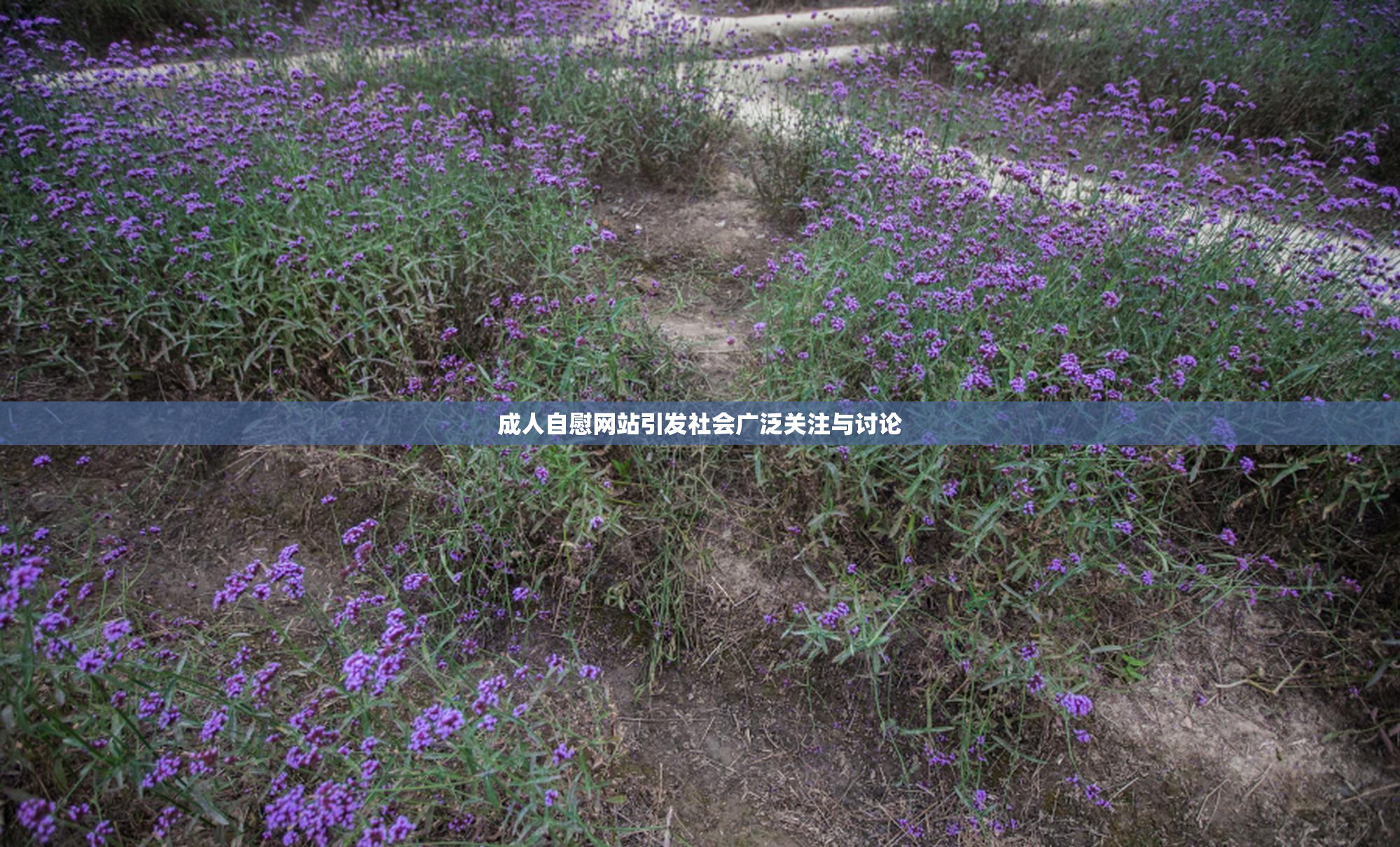 成人自慰网站引发社会广泛关注与讨论