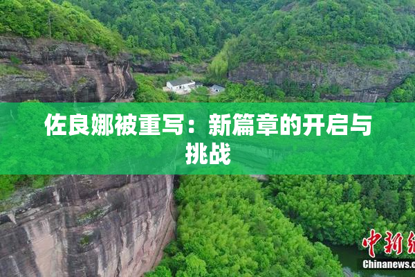 佐良娜被重写：新篇章的开启与挑战