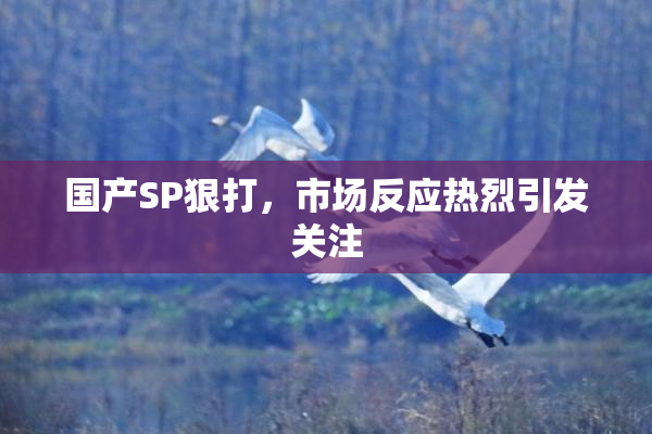 国产SP狠打，市场反应热烈引发关注