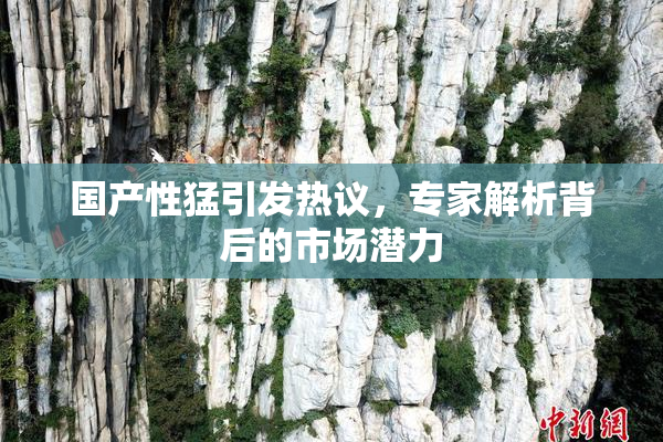 国产性猛引发热议，专家解析背后的市场潜力