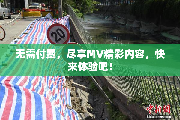 无需付费，尽享MV精彩内容，快来体验吧！