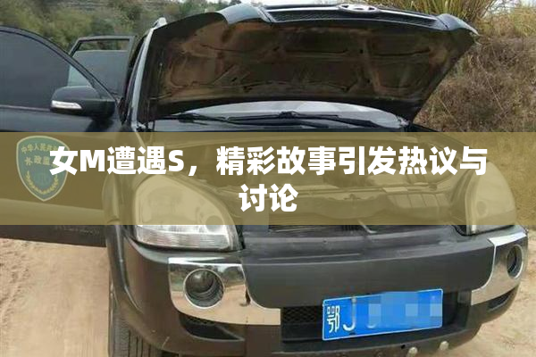 女M遭遇S，精彩故事引发热议与讨论