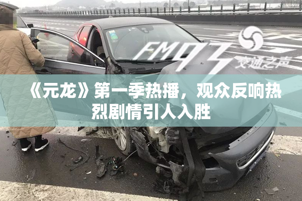 《元龙》第一季热播，观众反响热烈剧情引人入胜