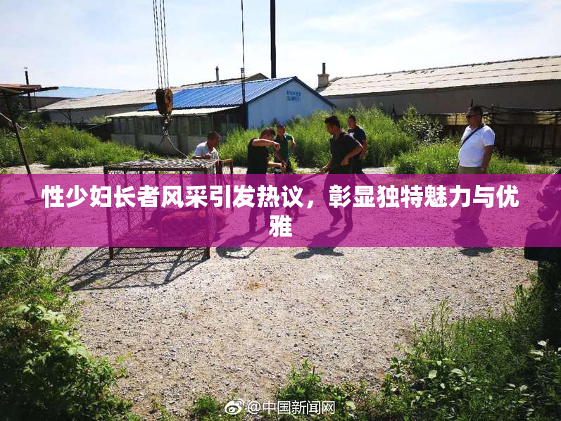 性少妇长者风采引发热议，彰显独特魅力与优雅