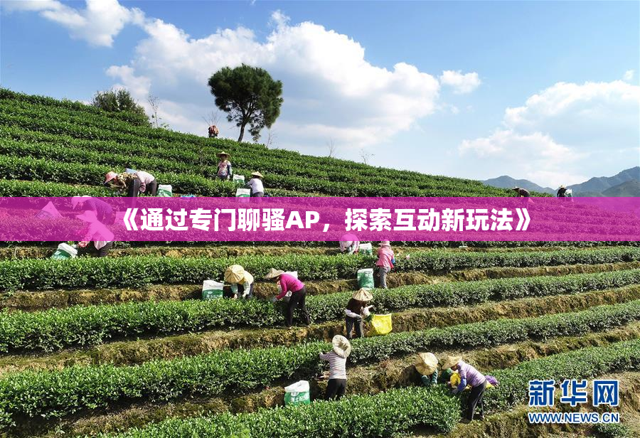 《通过专门聊骚AP，探索互动新玩法》