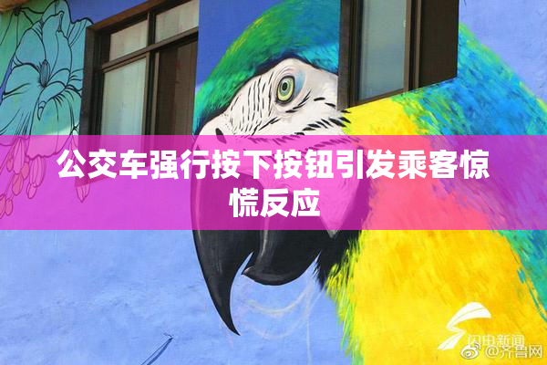 公交车强行按下按钮引发乘客惊慌反应