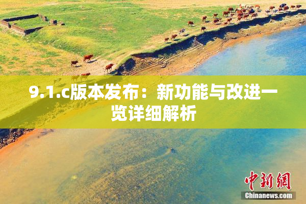 9.1.c版本发布：新功能与改进一览详细解析