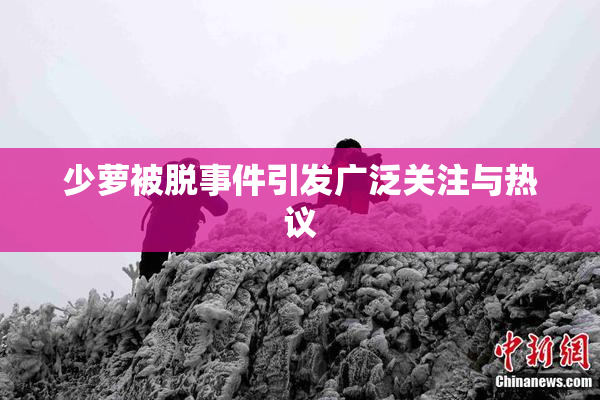 少萝被脱事件引发广泛关注与热议