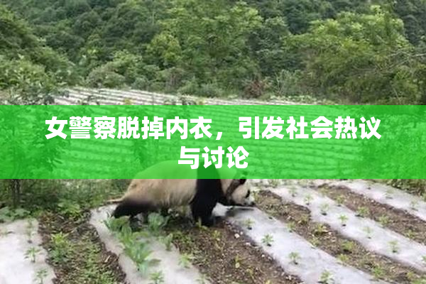 女警察脱掉内衣，引发社会热议与讨论