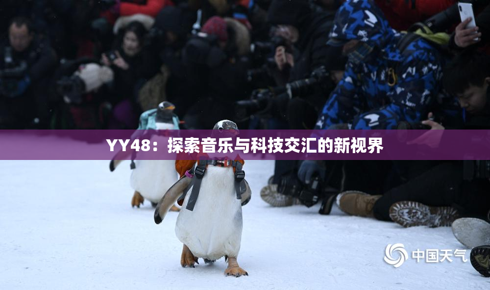 YY48：探索音乐与科技交汇的新视界