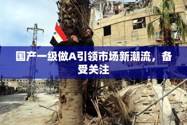 国产一级做A引领市场新潮流，备受关注