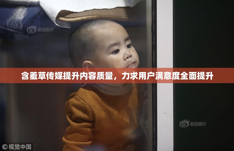 含羞草传媒提升内容质量，力求用户满意度全面提升