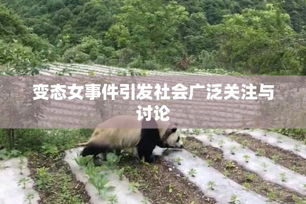 变态女事件引发社会广泛关注与讨论