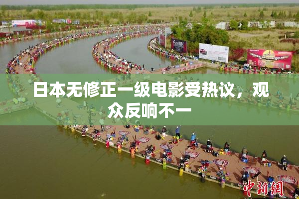 日本无修正一级电影受热议，观众反响不一