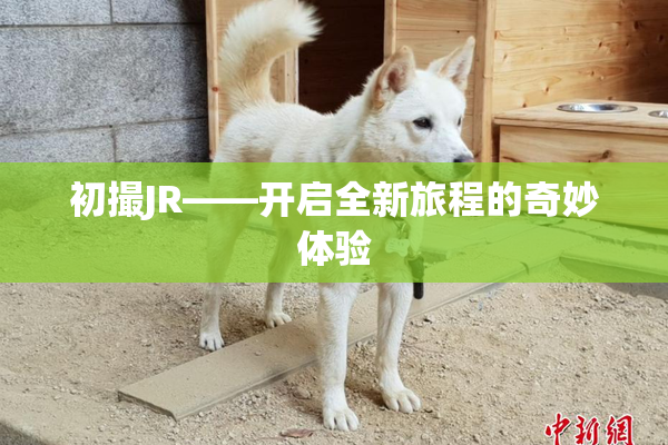 初撮JR——开启全新旅程的奇妙体验