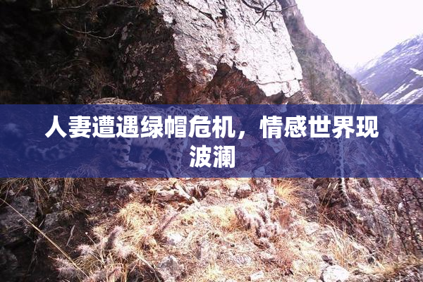 人妻遭遇绿帽危机，情感世界现波澜