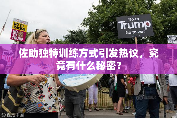 佐助独特训练方式引发热议，究竟有什么秘密？