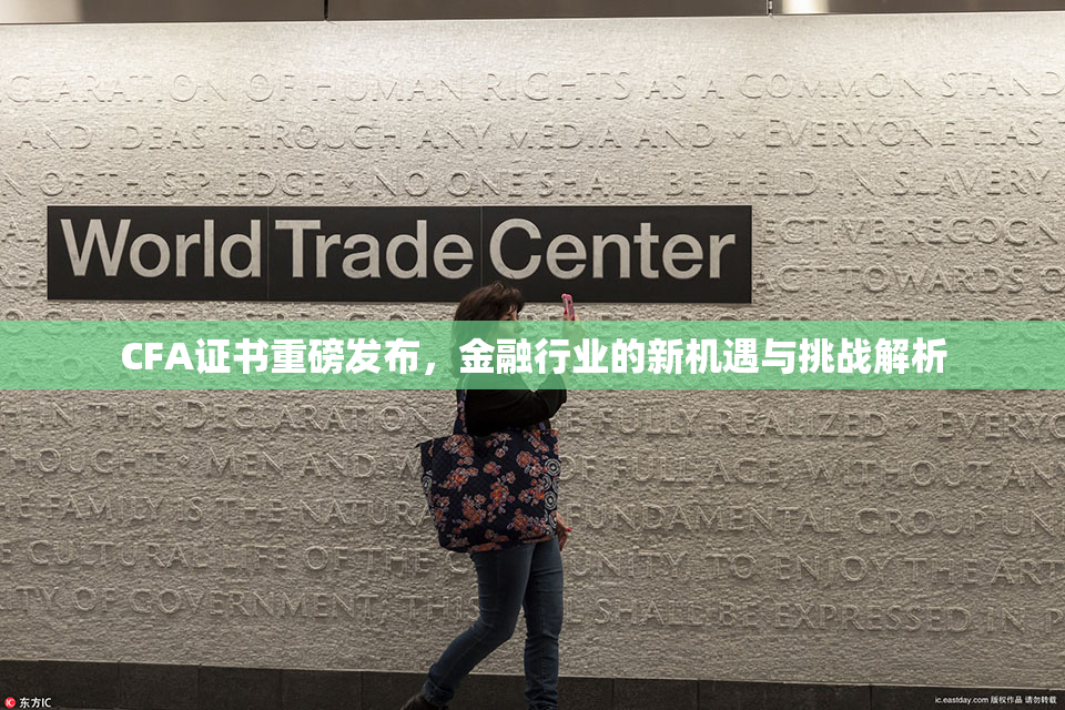 CFA证书重磅发布，金融行业的新机遇与挑战解析