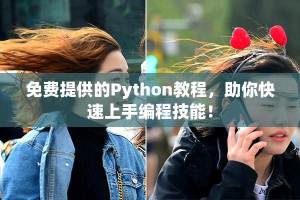 免费提供的Python教程，助你快速上手编程技能！