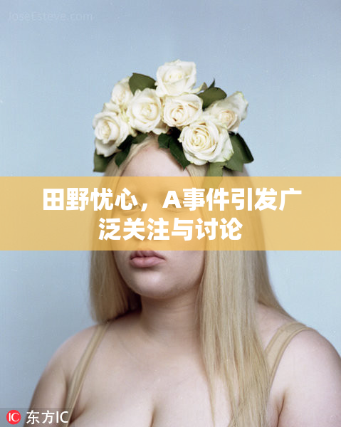 田野忧心，A事件引发广泛关注与讨论