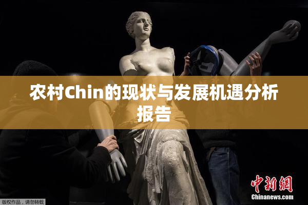 农村Chin的现状与发展机遇分析报告