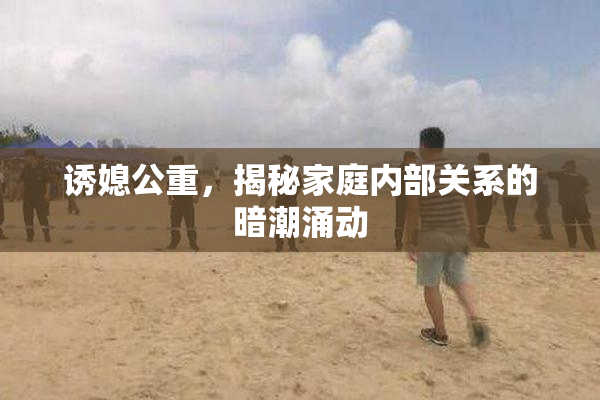 诱媳公重，揭秘家庭内部关系的暗潮涌动