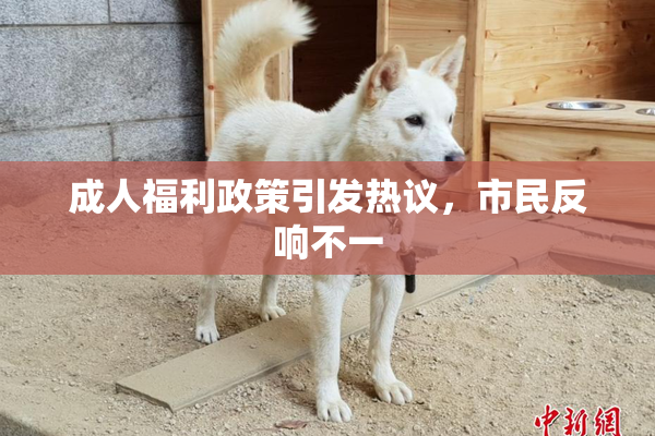 成人福利政策引发热议，市民反响不一