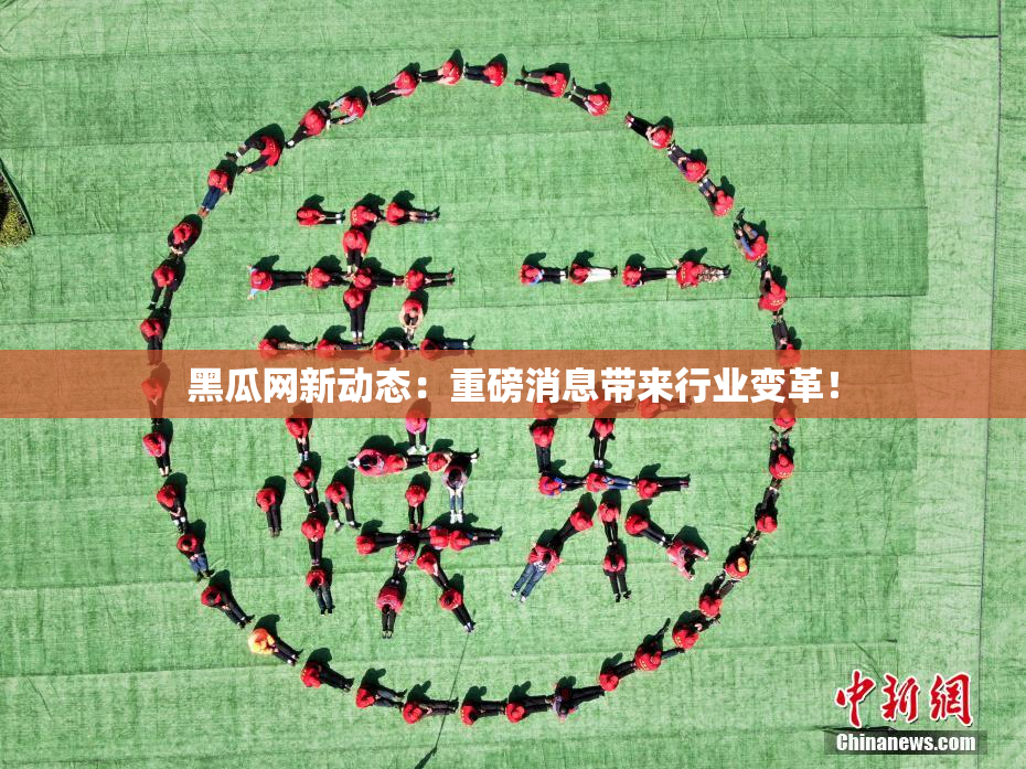 黑瓜网新动态：重磅消息带来行业变革！