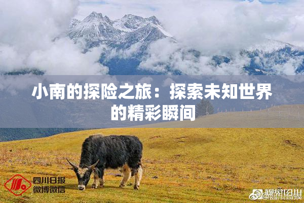 小南的探险之旅：探索未知世界的精彩瞬间