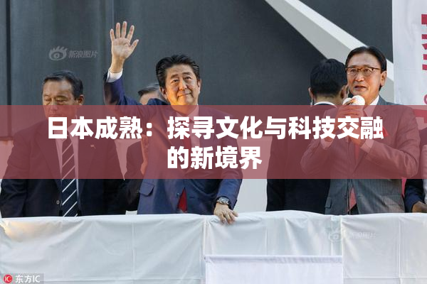 日本成熟：探寻文化与科技交融的新境界