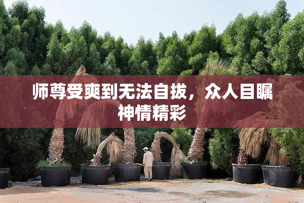 师尊受爽到无法自拔，众人目瞩神情精彩