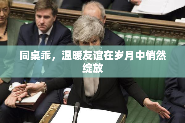 同桌乖，温暖友谊在岁月中悄然绽放