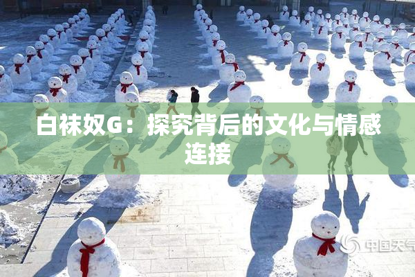 白袜奴G：探究背后的文化与情感连接