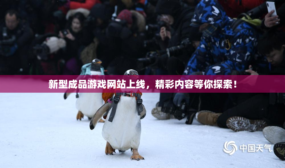 新型成品游戏网站上线，精彩内容等你探索！