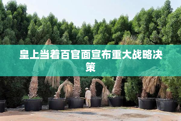 皇上当着百官面宣布重大战略决策