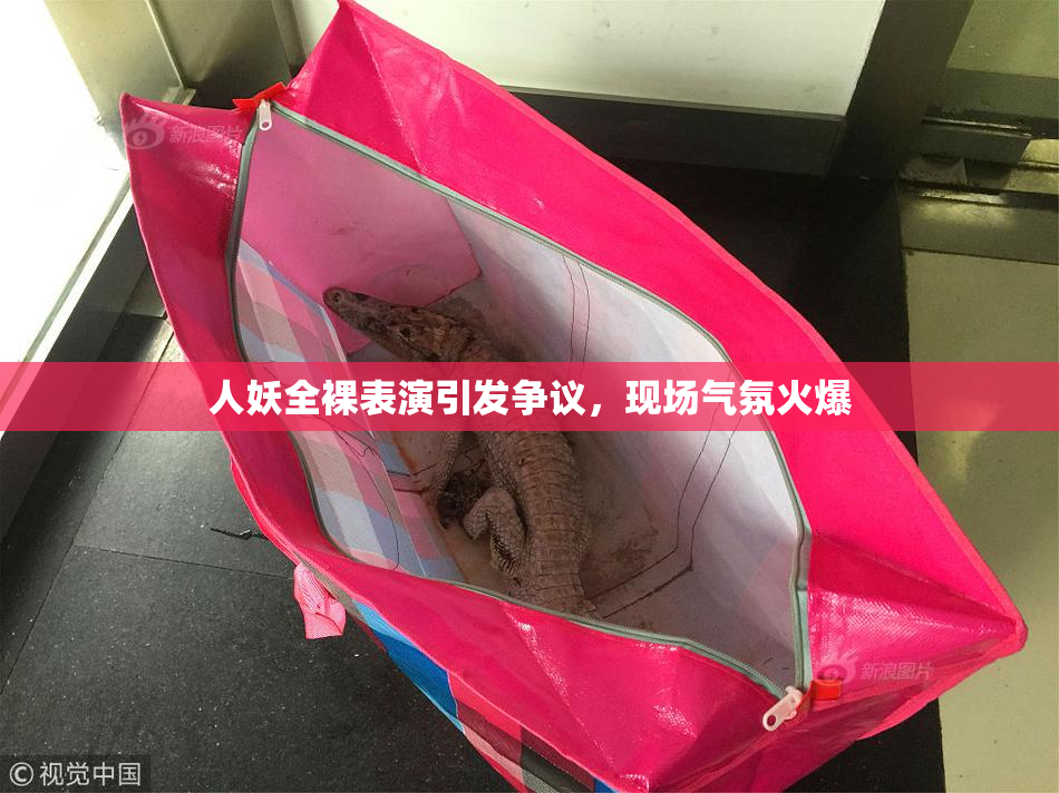 人妖全裸表演引发争议，现场气氛火爆