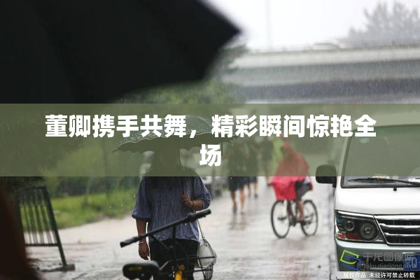 董卿携手共舞，精彩瞬间惊艳全场