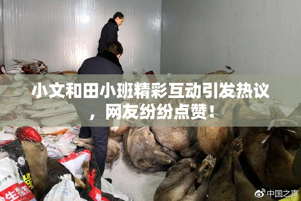 小文和田小班精彩互动引发热议，网友纷纷点赞！