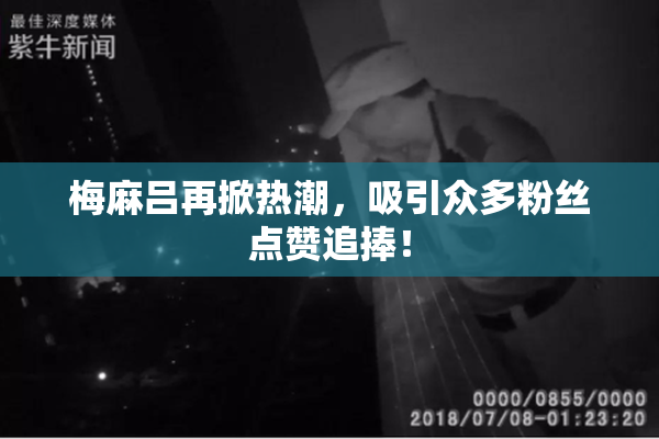 梅麻吕再掀热潮，吸引众多粉丝点赞追捧！