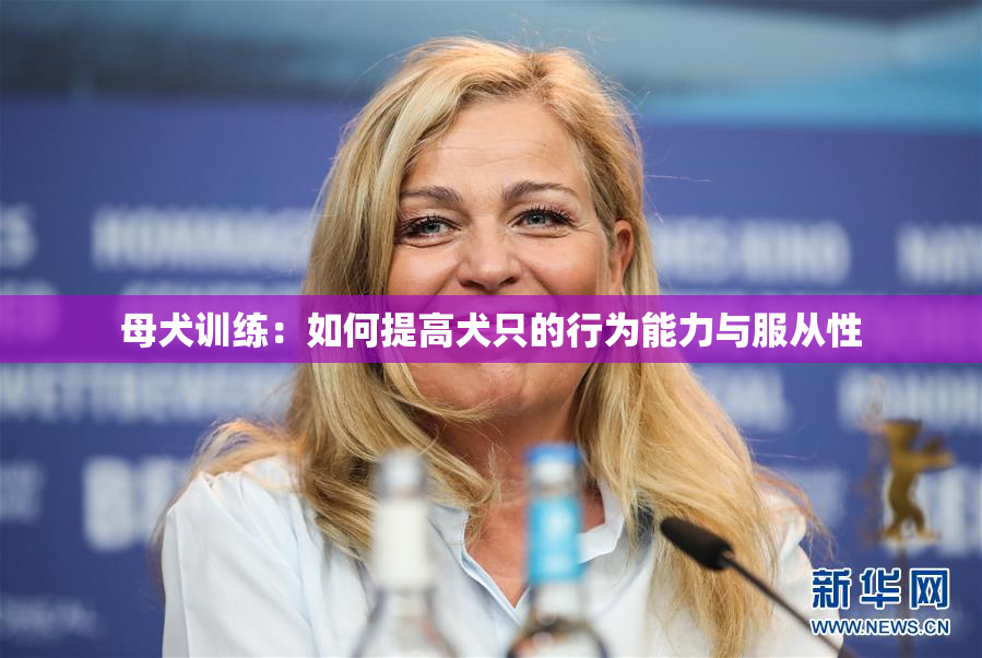 母犬训练：如何提高犬只的行为能力与服从性