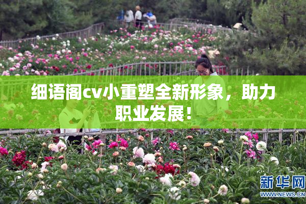 细语阁cv小重塑全新形象，助力职业发展！