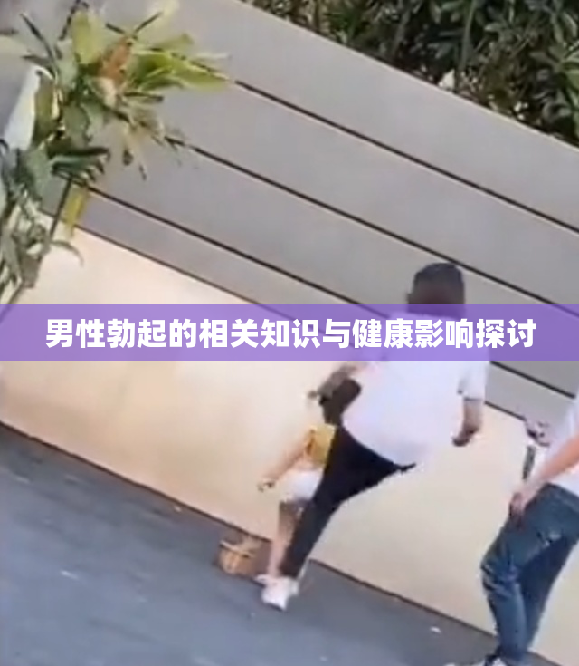 男性勃起的相关知识与健康影响探讨