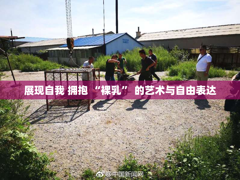 展现自我 拥抱 “裸乳” 的艺术与自由表达