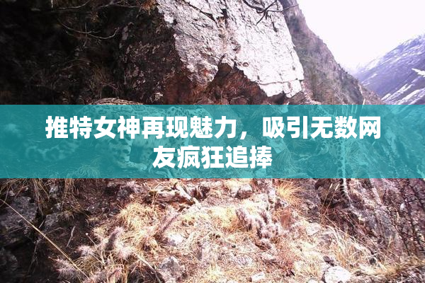 推特女神再现魅力，吸引无数网友疯狂追捧