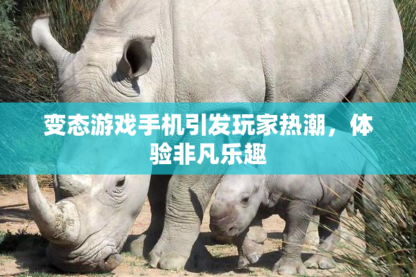 变态游戏手机引发玩家热潮，体验非凡乐趣