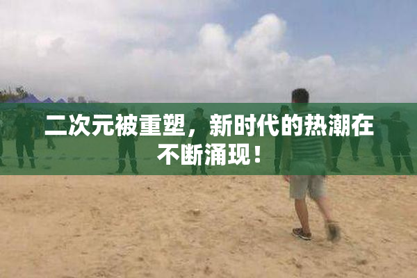 二次元被重塑，新时代的热潮在不断涌现！