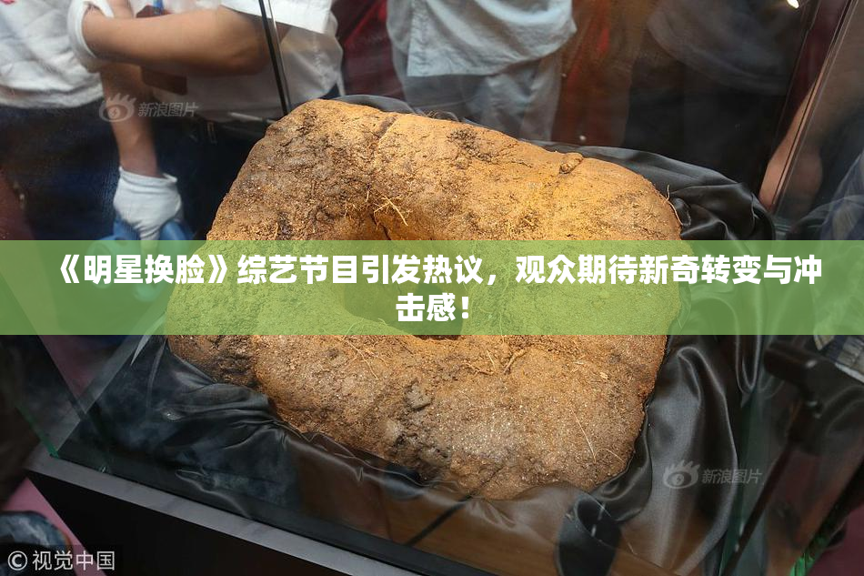 《明星换脸》综艺节目引发热议，观众期待新奇转变与冲击感！