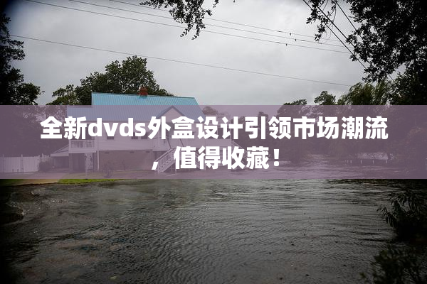 全新dvds外盒设计引领市场潮流，值得收藏！