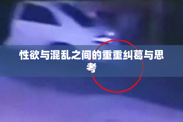 性欲与混乱之间的重重纠葛与思考
