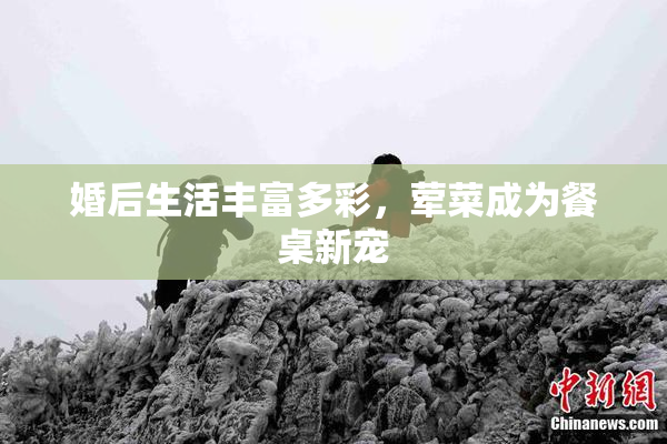 婚后生活丰富多彩，荤菜成为餐桌新宠